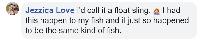 This Man Creates A Flotation Device To Save His Beloved Goldfish From Dying