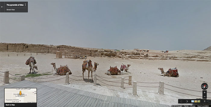 Google-Street-Animals