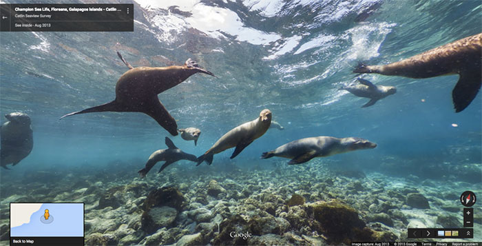 Google-Street-Animals