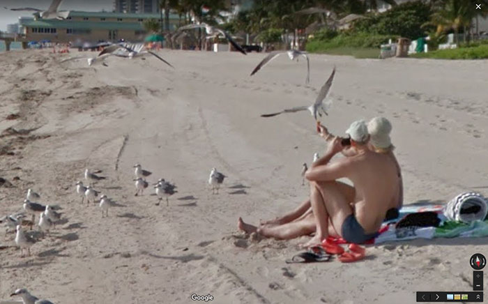 Google-Street-Animals