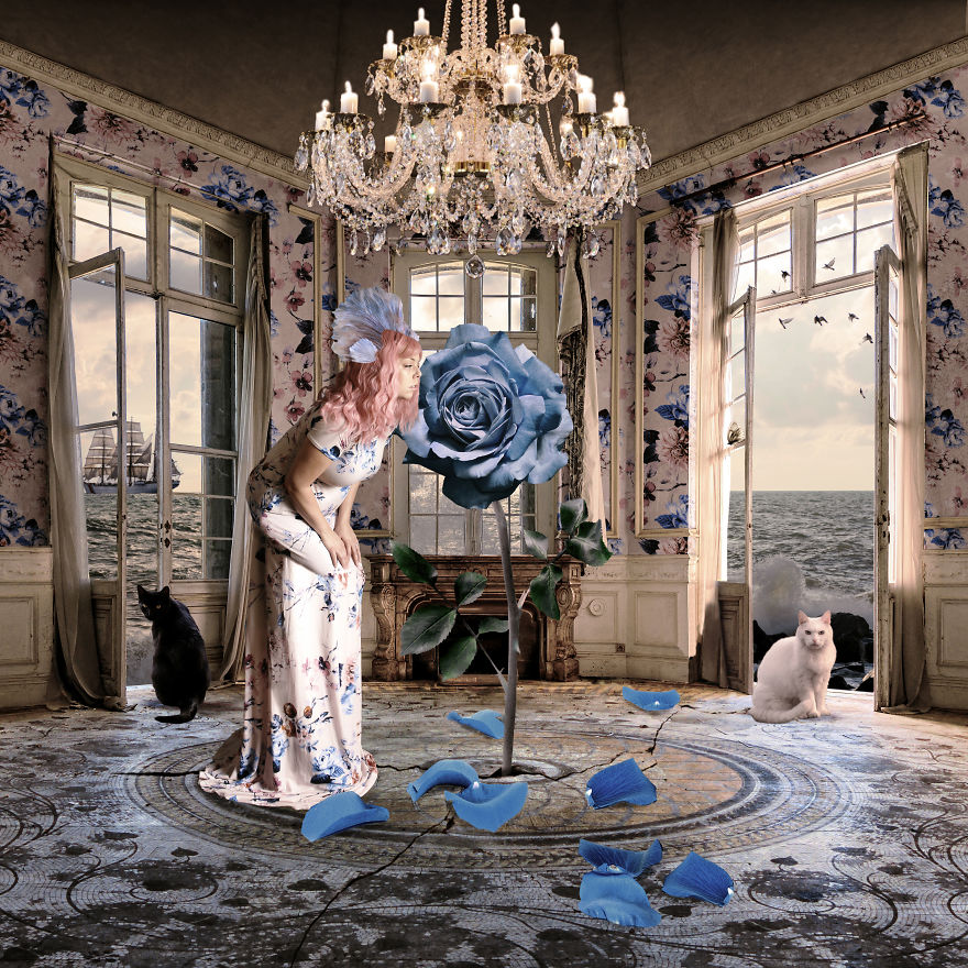 Wallflower : A Series Of Composite Images I Created To Explore Perceptions Of Self. Wallflower : A Series Of Composite Images I Created To Explore Perceptions Of Self.