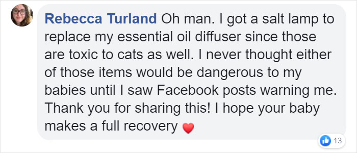 Owner Of Cat That Nearly Died Explains Why It's Terribly Dangerous To Own A Salt Lamp If You Have Pets 