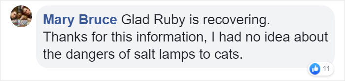 Owner Of Cat That Nearly Died Explains Why It's Terribly Dangerous To Own A Salt Lamp If You Have Pets 