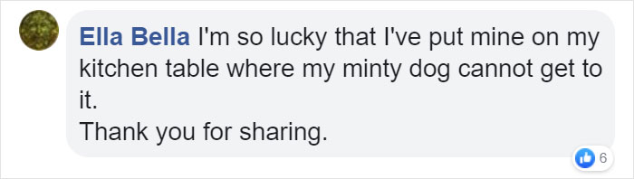 Owner Of Cat That Nearly Died Explains Why It's Terribly Dangerous To Own A Salt Lamp If You Have Pets 