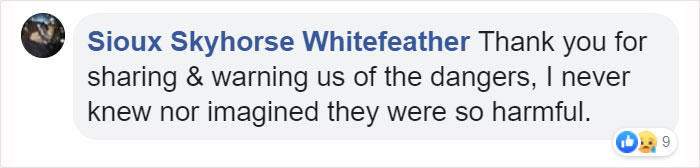 Owner Of Cat That Nearly Died Explains Why It's Terribly Dangerous To Own A Salt Lamp If You Have Pets 