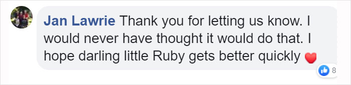 Owner Of Cat That Nearly Died Explains Why It's Terribly Dangerous To Own A Salt Lamp If You Have Pets 