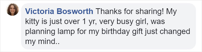 Owner Of Cat That Nearly Died Explains Why It's Terribly Dangerous To Own A Salt Lamp If You Have Pets 