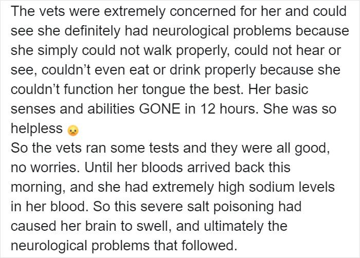 Owner Of Cat That Nearly Died Explains Why It's Terribly Dangerous To Own A Salt Lamp If You Have Pets 
