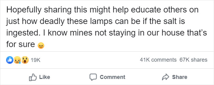 Owner Of Cat That Nearly Died Explains Why It's Terribly Dangerous To Own A Salt Lamp If You Have Pets 