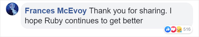 Owner Of Cat That Nearly Died Explains Why It's Terribly Dangerous To Own A Salt Lamp If You Have Pets 