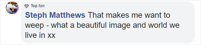 9 Magical Pictures Of Hummingbirds' Wings Shining Like Rainbows