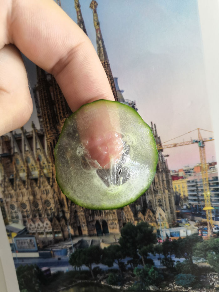Chef Proves You Don't Need $1000 Knives To Cut Slices Like A Pro, It Only Takes 2 Steps