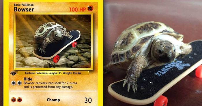 Artist Transforms Pets Into Pokémon Cards (30 Pics)