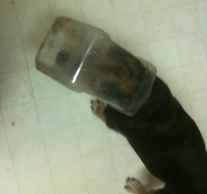 She Only Wanted A Little Chex Mix!