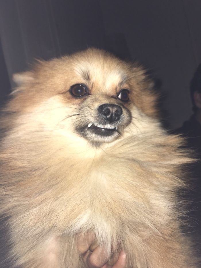 The Main Reason Charley’s Nickname Is Charming Charles.