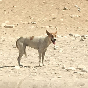 zahraabuabdallah avatar