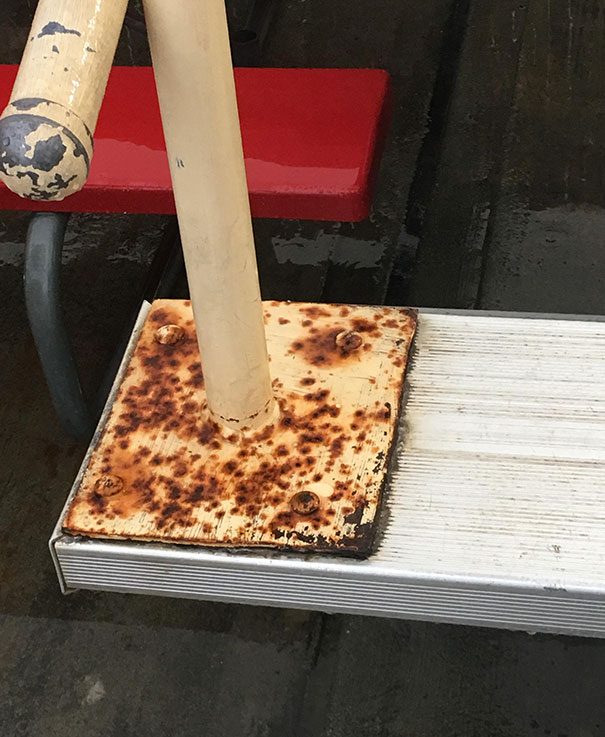 Forbidden Cheese Pizza