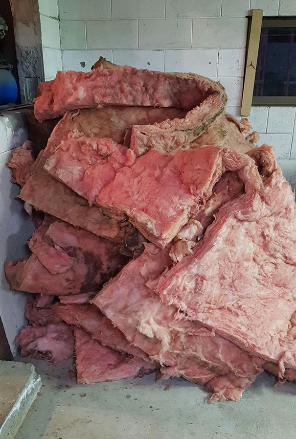 Forbidden Corned Beef