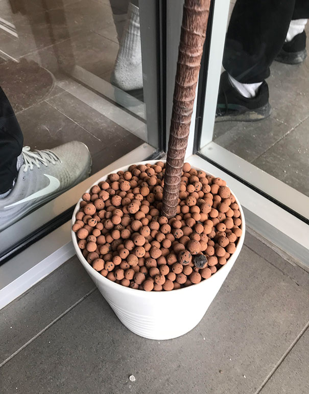 Forbidden Nesquik