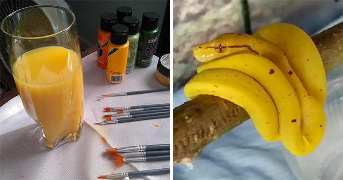 40 Cosas totalmente incomestibles que parecían comida deliciosa (Nuevas imágenes)