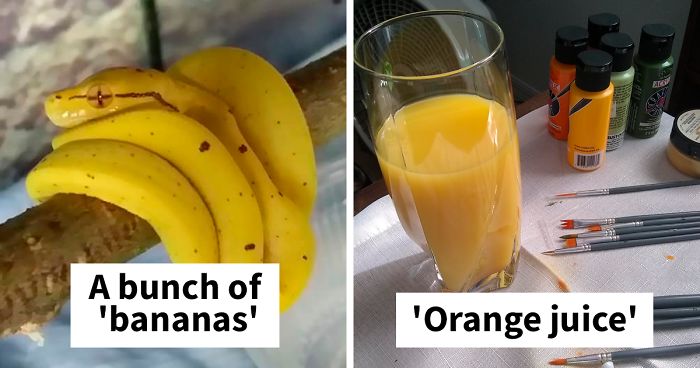 45 Times Totally Inedible Things Looked Like Delicious Food (New Pics)
