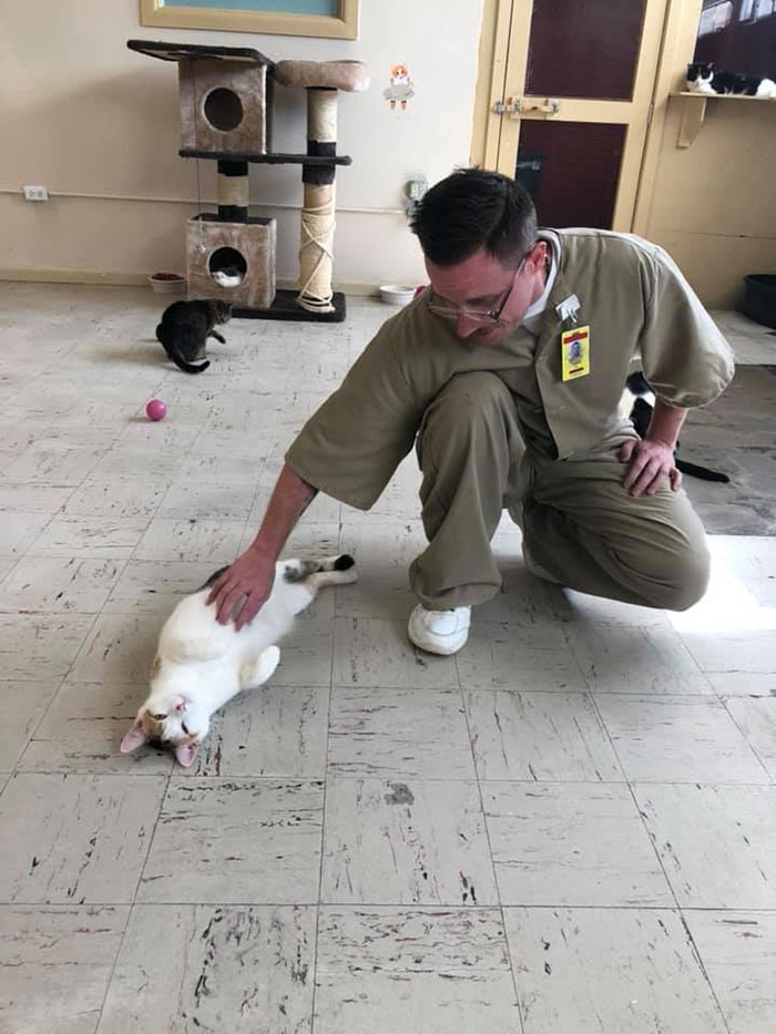 Prison In Indiana Accepts Shelter Cats And They Change Prisoners Prison In Indiana Accepts Shelter Cats And They Change Prisoners