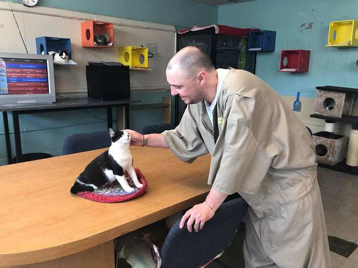 Prison In Indiana Accepts Shelter Cats And They Change Prisoners Prison In Indiana Accepts Shelter Cats And They Change Prisoners