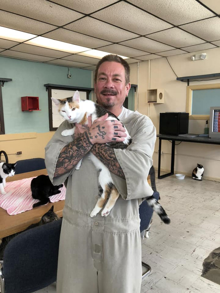 Prison In Indiana Accepts Shelter Cats And They Change Prisoners Prison In Indiana Accepts Shelter Cats And They Change Prisoners