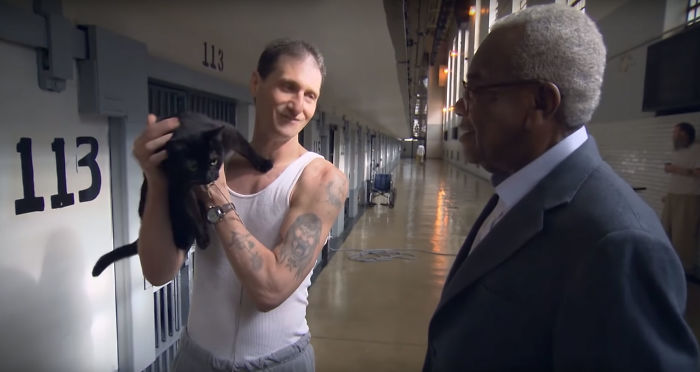 Prison In Indiana Accepts Shelter Cats And They Change Prisoners Prison In Indiana Accepts Shelter Cats And They Change Prisoners