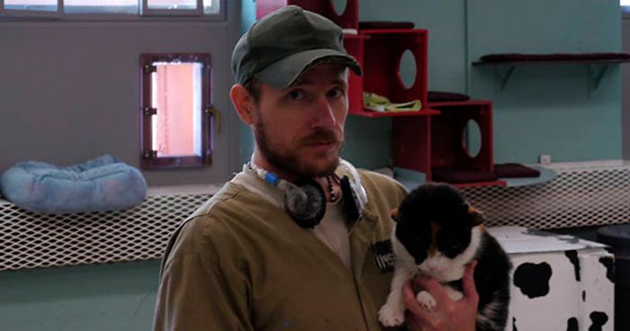 Prison In Indiana Accepts Shelter Cats And They Change Prisoners