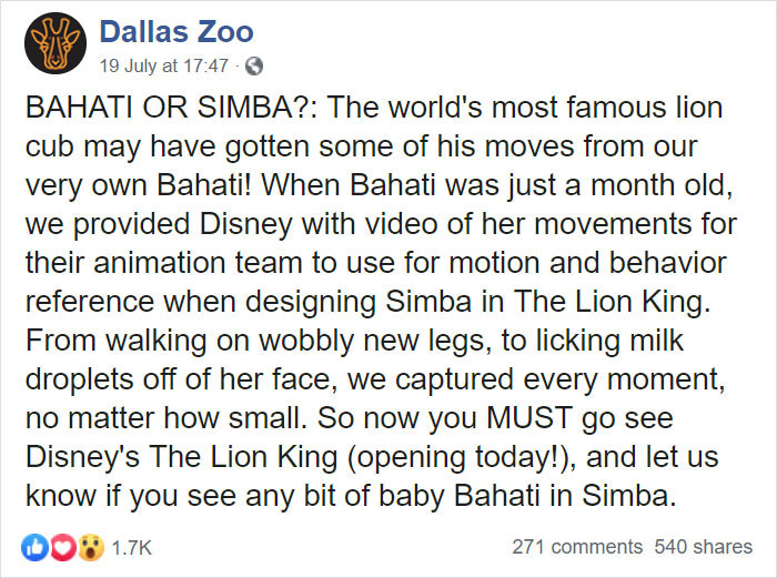 Meet Bahati The Cub, The Adorable Model For Simba In The Lion King Remake Meet Bahati The Cub, The Adorable Model For Simba In The Lion King Remake