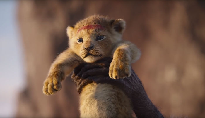 The New Lion King Posters Show Actors Facing Off Their Characters And It Looks Badass The New Lion King Posters Show Actors Facing Off Their Characters And It Looks Badass