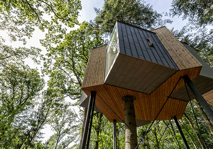 This Hotel In Denmark Is The Ultimate Tree House For Adults This Hotel In Denmark Is The Ultimate Tree House For Adults