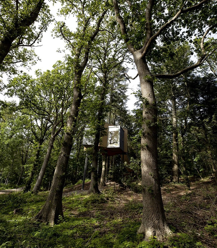 This Hotel In Denmark Is The Ultimate Tree House For Adults
