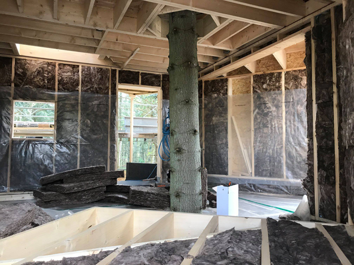 This Hotel In Denmark Is The Ultimate Tree House For Adults This Hotel In Denmark Is The Ultimate Tree House For Adults