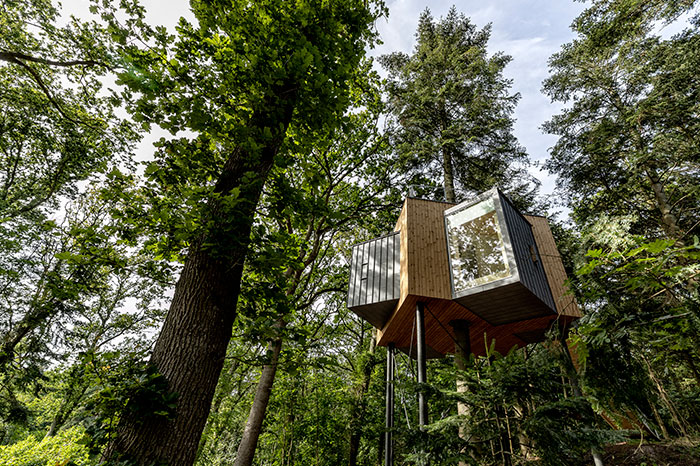 This Hotel In Denmark Is The Ultimate Tree House For Adults This Hotel In Denmark Is The Ultimate Tree House For Adults