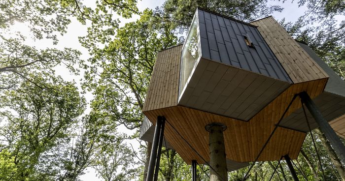 This Hotel In Denmark Is The Ultimate Tree House For AdultsThis Hotel In Denmark Is The Ultimate Tree House For Adults