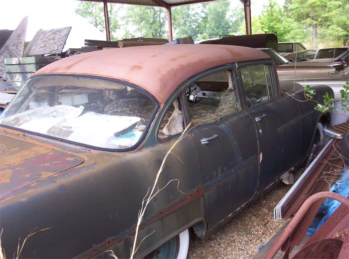 Wasps Are Building Massive "Super Nests" In Alabama And People Are Frightened Wasps Are Building Massive "Super Nests" In Alabama And People Are Frightened