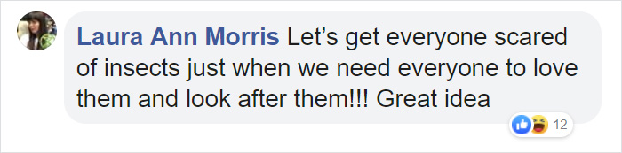 Wasps Are Building Massive "Super Nests" In Alabama And People Are Frightened