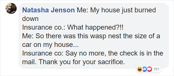 Wasps Are Building Massive "Super Nests" In Alabama And People Are Frightened