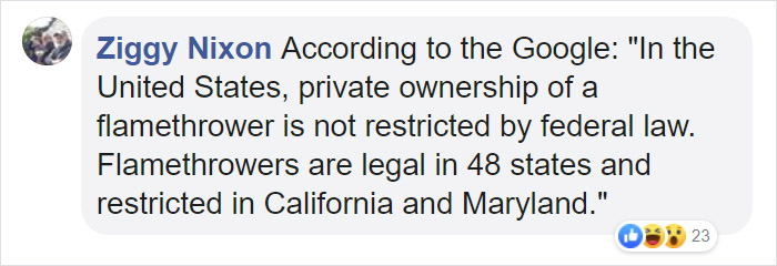 Wasps Are Building Massive "Super Nests" In Alabama And People Are Frightened Wasps Are Building Massive "Super Nests" In Alabama And People Are Frightened