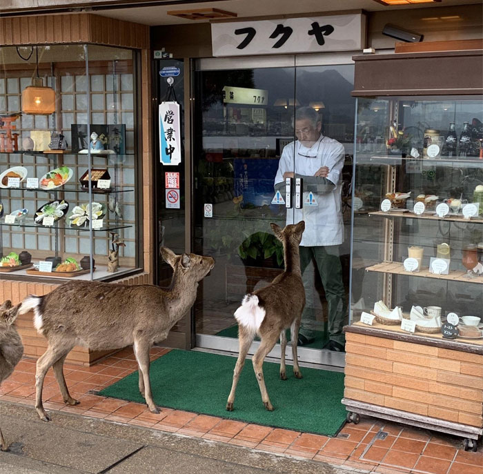 La gente comparte memes de «Mientras tanto en» que resumen distintos países de forma divertida (40 imágenes)