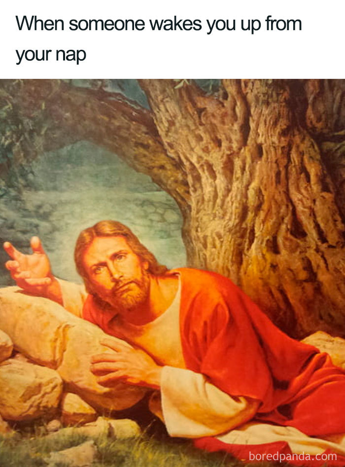 Humorous sleeping meme showing a surprised man waking up from a nap under a tree among rocks.