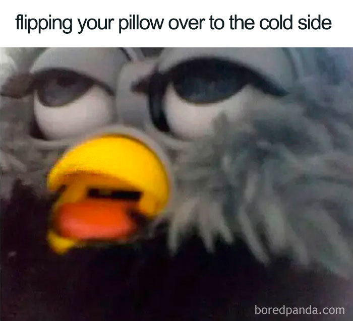 Close-up of a tired puppet bird with eyes half-open, illustrating funny sleeping memes about flipping your pillow to the cold side.