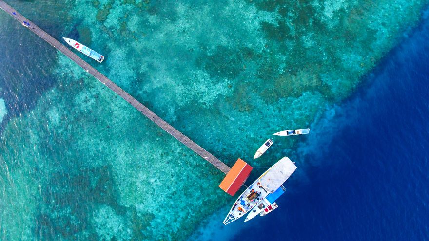 Different Colors But Still United