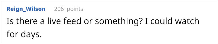 Company Adopts 2 Office Kittens, Debit And Credit, To Boost Employee Morale, Succeeds Perfectly (21 Pics) Company Adopts 2 Office Kittens, Debit And Credit, To Boost Employee Morale, Succeeds Perfectly (21 Pics)