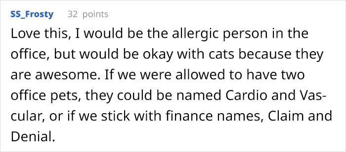 Company Adopts 2 Office Kittens, Debit And Credit, To Boost Employee Morale, Succeeds Perfectly (21 Pics) Company Adopts 2 Office Kittens, Debit And Credit, To Boost Employee Morale, Succeeds Perfectly (21 Pics)