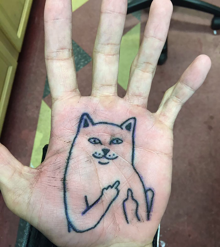 Blasted A Palm Last Night. Kid Took It Like A Champ