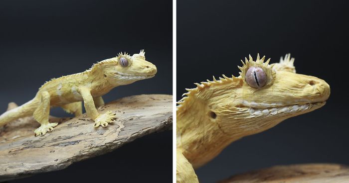  I Am A Paper Artist And I Create Life-Like Animals And Insects (24 Pics) I Am A Paper Artist And I Create Life-Like Animals And Insects (24 Pics)