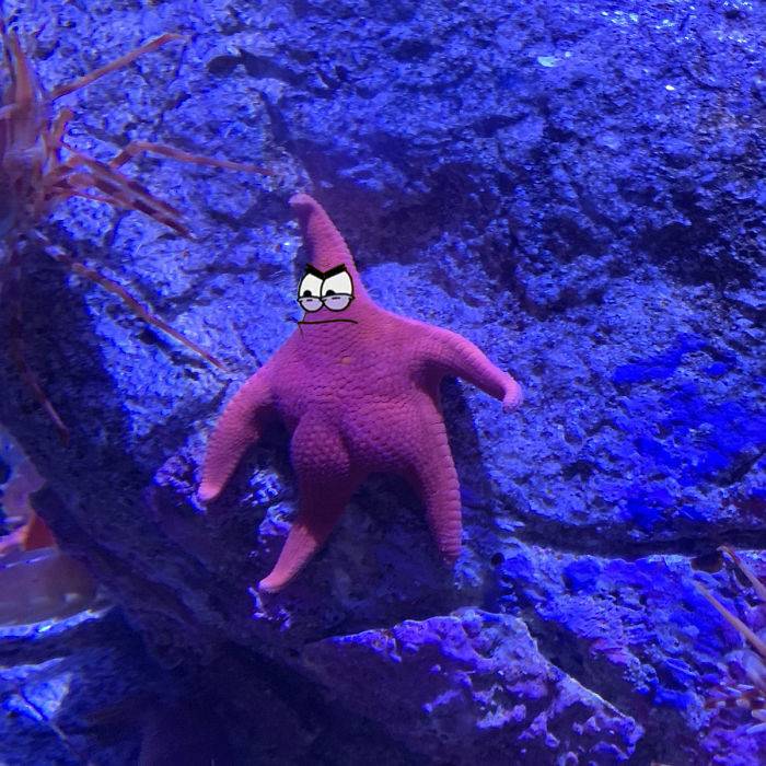 Patrick-Starfish-Photoshop-Battle